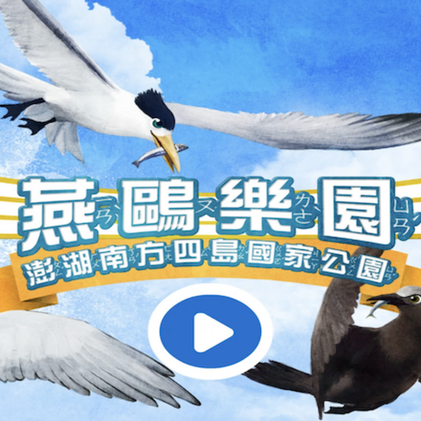 桌布下載